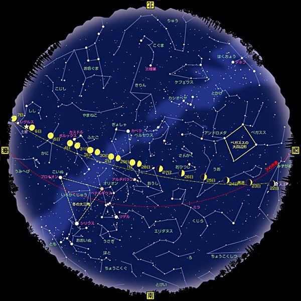 全天星図