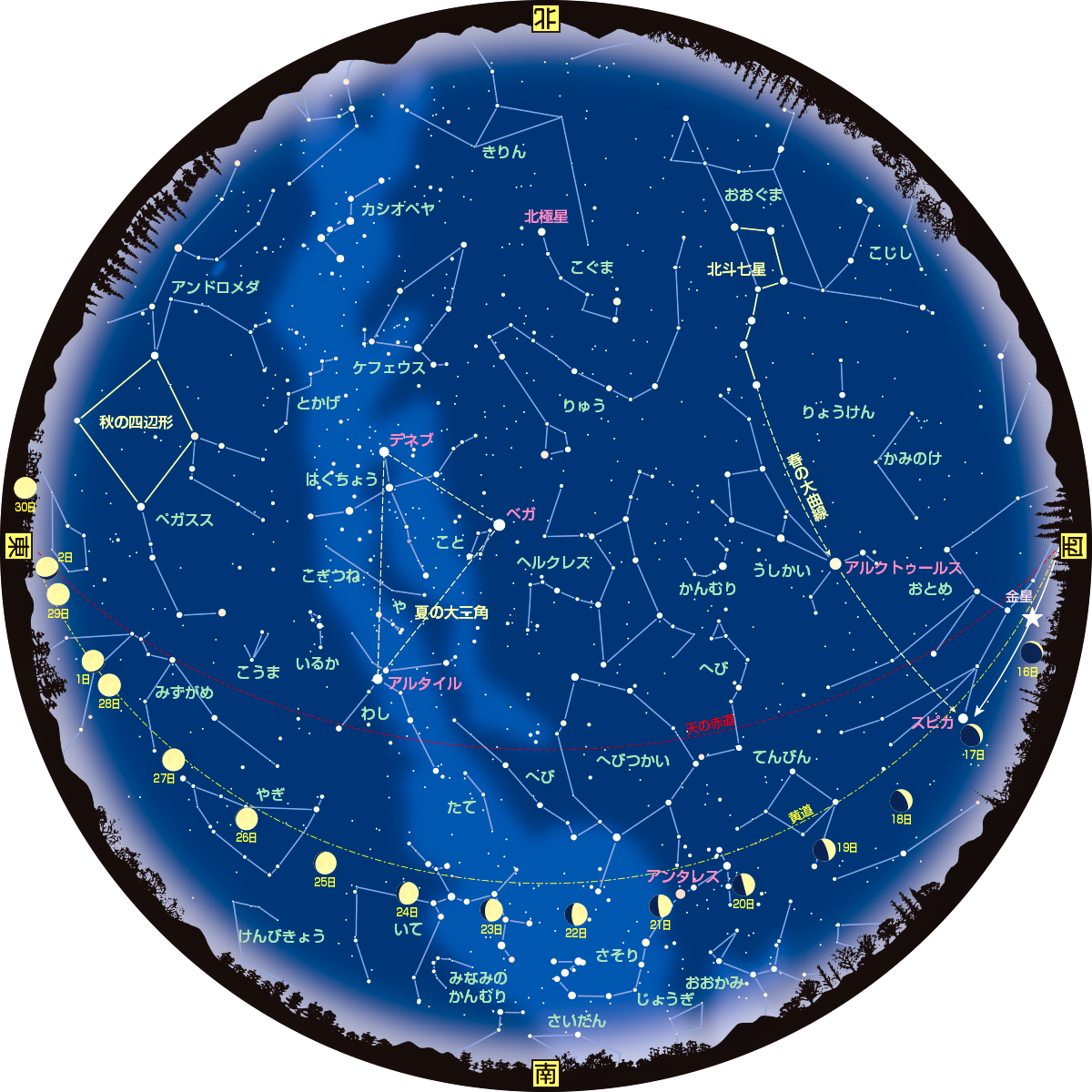 全天星図