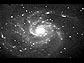 M101