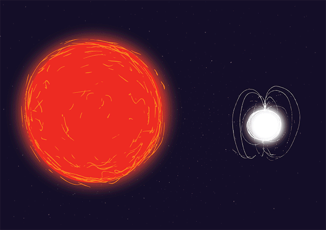 赤色巨星からの風によって中性子星に物質が降り注ぐ様子のイラスト