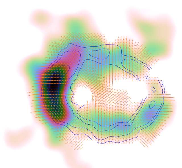 SN 1987Aの磁場の分布