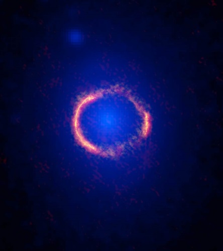 アルマ望遠鏡（オレンジ）とハッブル宇宙望遠鏡（青）で観測した銀河SDP.81