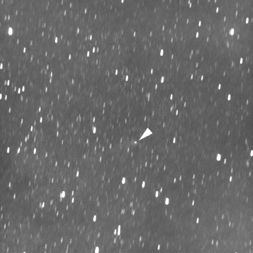 10月8日撮影のサイディングスプリング彗星