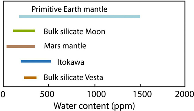 水の含有量の比較図