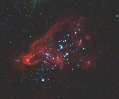 HSTで撮像した、矮小銀河ホルムベルクIIにある超高光度X線源X-1（矢印）の周辺の多色合成画像