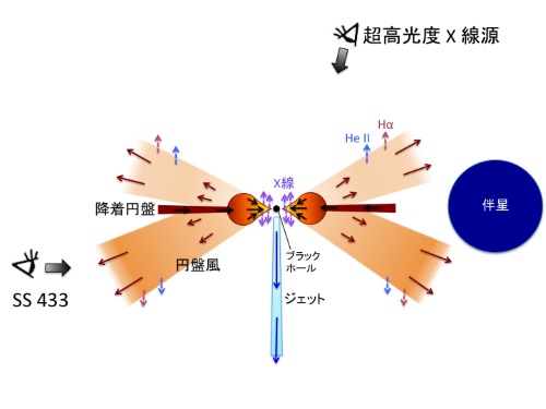 超高光度X線源（上）とSS 433（下）の構造および視線方向