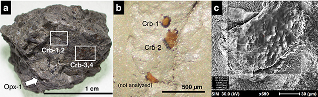 火星隕石「ALH 84001」、炭酸塩鉱物の粒の顕微鏡写真、表面に付着した汚染物除去後の写真