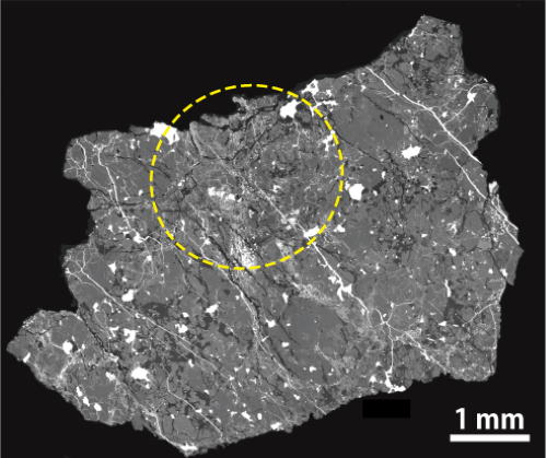 カトール隕石の電子顕微鏡写真