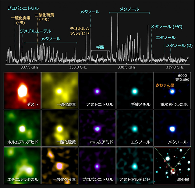 銀河最外縁部の赤ちゃん星の電波スペクトルと分子輝線分布