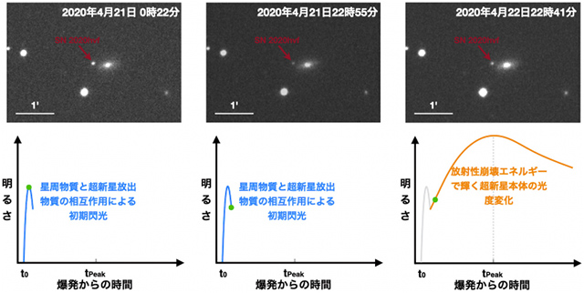 SN2020hvfの観測画像と光度変化