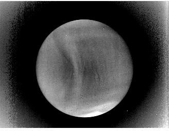 中間赤外カメラで撮影された金星