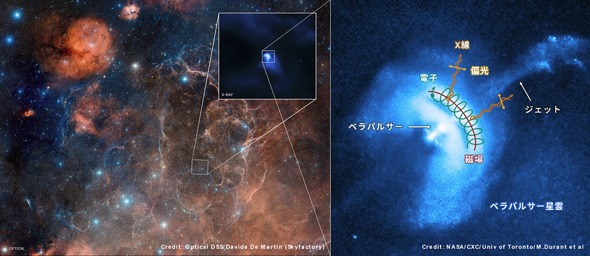 ほ座超新星残骸とパルサー星雲
