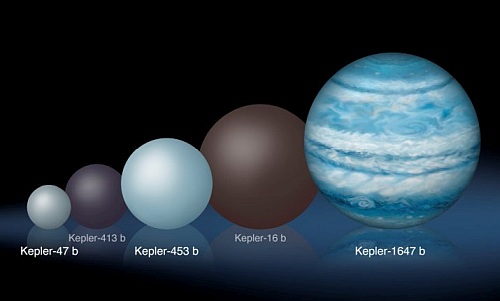 これまでにケプラーが発見した周連星惑星の大きさの比較
