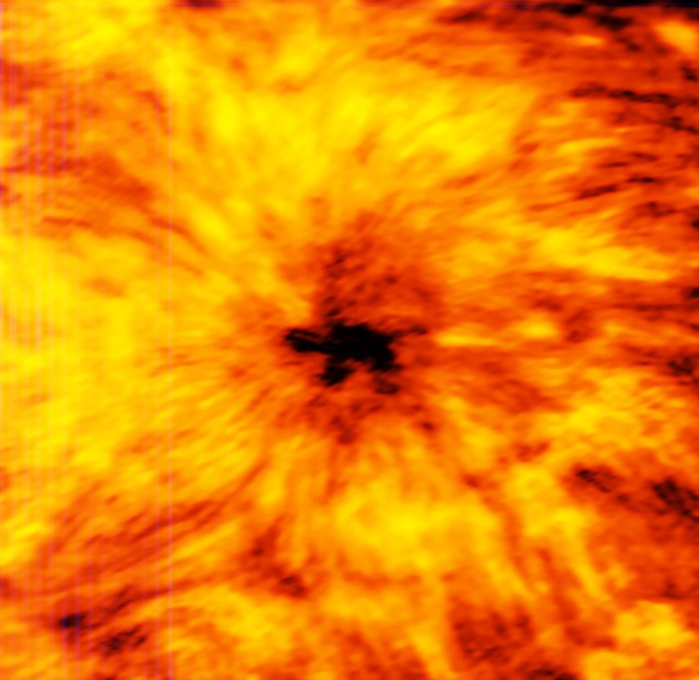 波長1.25mmの電波でアルマ望遠鏡が撮影した太陽黒点
