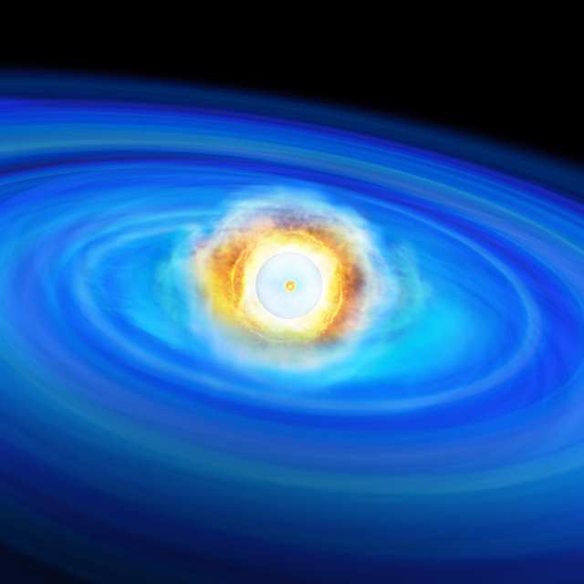 星の中心で核融合反応が始まった直後の想像図