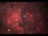 （ミニボーグ60による北アメリカ星雲とペリカン星雲の写真）