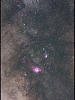 （M8周辺の天の川の写真）