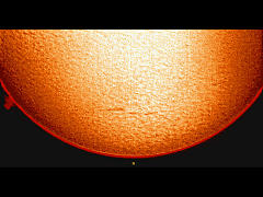 7月17日の太陽面（Hα画像）