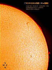 7月24日の太陽面（Hα画像）