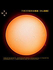 7月30日の太陽面（Hα画像全面）