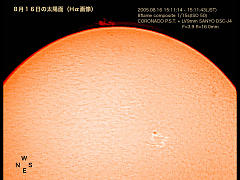 8月16日の太陽面（Hα画像）