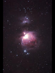 M42