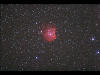 （NGC2174-5の写真）
