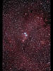 （NGC2264の写真）