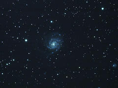 M101žֲж
