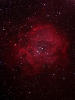 （バラ星雲（NGC2237）の写真）