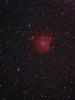 （モンキー星雲（NGC2174-5）の写真）