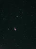 （子持ち銀河（M51）の写真）