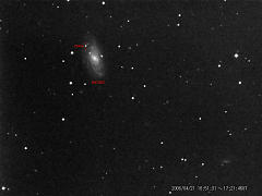 NGC3953内の超新星2006bp