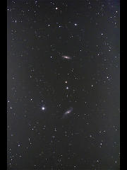 NGC4536.4527