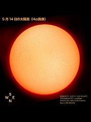 5月14日の太陽面（Hα画像）