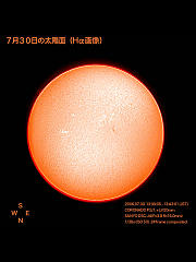 7月30日の太陽面（Hα画像）