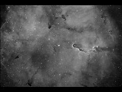 IC1396