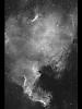 （北アメリカ星雲の写真）