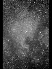 北アメリカ星雲（NGC 7000）