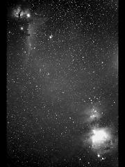 馬頭星雲からオリオン大星雲