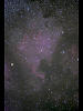 （北アメリカ星雲（NGC 7000）の写真）