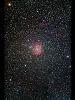 （NGC2174の写真）