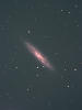 NGC253μ̿