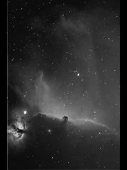 月明かりの中の馬頭星雲