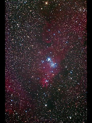 散開星団NGC2264（クリスマスツリー星団）