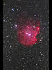 （NGC2174の写真）
