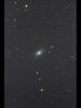 （NGC2403の写真）