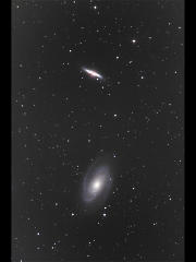 M81.82