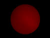 （太陽 Hα像 （1/20 ）-IIの写真）