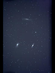 M65M66NGC3628